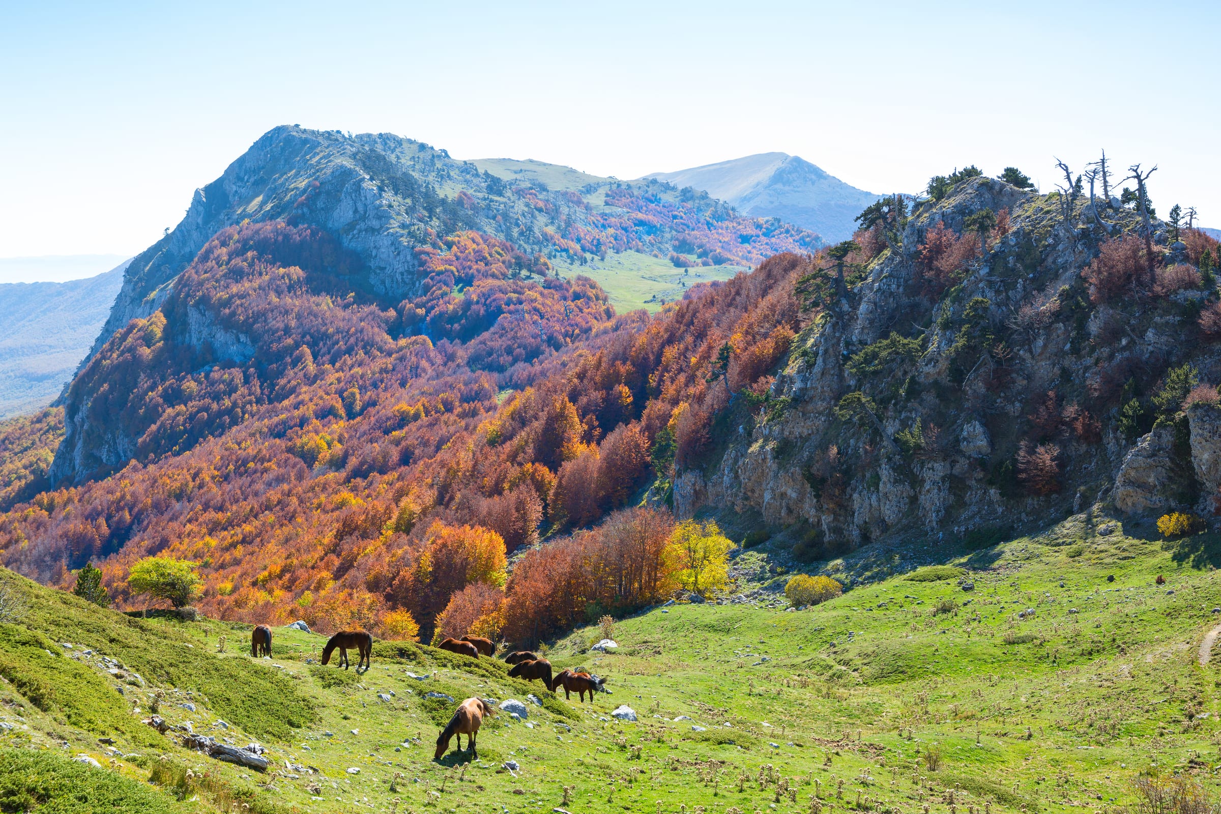 Parco del Pollino